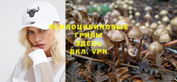 твердый Ладушкин