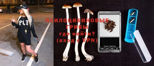твердый Ладушкин